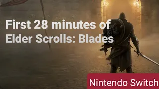 Elder Scrolls: Blades - Nintendo Switch | Is it worth it?