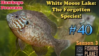 Fishing Planet | #40 - S3 | White Moose Lake: The Forgotten Species!