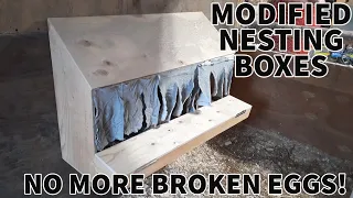 CHICKENS BREAKING EGGS | MADE ROLL AWAY NESTING BOXES.