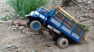 RC IFA control, mountain road wood transport, front loader