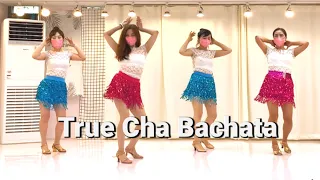 True Cha Bachata line dance / Beginner / 트루 차 바차타 초급 라인댄스