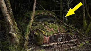A man found an abandoned car in the forest; when he opened it, he screamed in horror!
