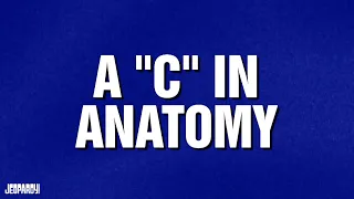 A "C" in Anatomy | Category | JEOPARDY!