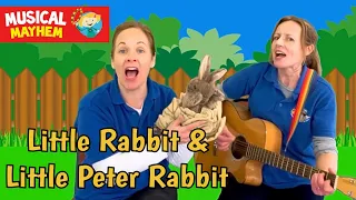 Little Rabbit/Little Peter Rabbit | Kids song | Musical Mayhem