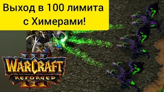 Выход в 100 лимита с Химерами‼️ LabyRinth (Ud) vs Dise22 (Ne) Warcraft 3 Reforged