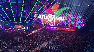 Wrestlemania 34 Rusev Entrance (Fan Video)