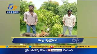 5 PM | Ghantaravam | News Headlines | 17th June 2021 | ETV Andhra Pradesh