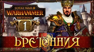 "Львиное Сердце" - Прохождение за фракцию Бретонния #1 | Total War: Warhammer