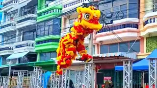 Acrobatic Lion Dance Thailand