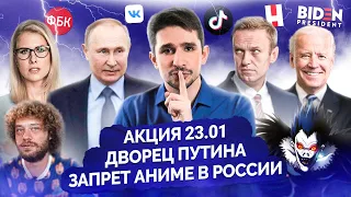 Митинг за Навального 23.01/ Дворец Путина/ Запрет аниме/ Неуважение от Варламова/ Майкл Наки