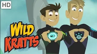 Wild Kratts 💥 Activate All Season 1 Creature Powers! | Kids Videos