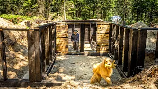 Building a DIY Basement for my OFF GRID LOG CABIN in the WILDERNESS | Aggressive Bear Visits