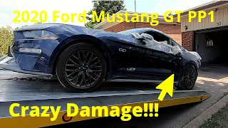 I Bought Crashed 2020 Mustang GT for Project | Rebuild Part 1 |