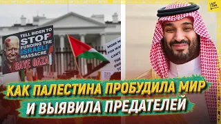 Как Палестина пробудила мир и выявила предателей