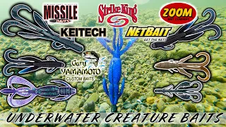 Underwater Footage!! Best Creature Baits Compared!