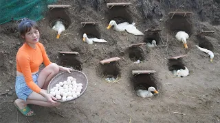 Complete Build a pit system for ducks to lay and hatch eggs - Building farm life, free bushcraft