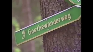 Das grüne Herz Deutschland ~ Thüringer Wald ~