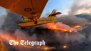 Tenerife wildfires: Seaplane drops water payload over roaring flames