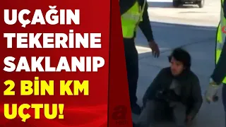 Dünya bu olayı konuşuyor! İniş takımlarına saklanıp 2 bin kilometre uçan adam, bu halde bulundu