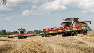 ||►WHEAT HARVEST | BÚZA ARATÁS 2020 || Hubertus Agráripari Bt.◄❘❘