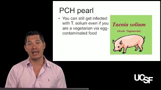 Peter Chin-Hong, MD, Helminths Part 3: Flukes and Tapeworms