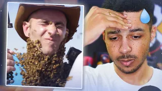 LE GARS MET SA TÊTE DANS UN NID D’ABEILLES (Étrange oui)