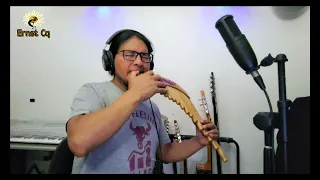 HOUSE OF THE RISING SUN - The Animals - cover panflute by Ernst Cq