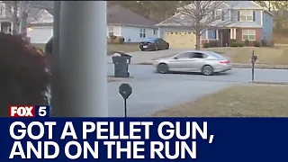 Pellet gun serial shootings