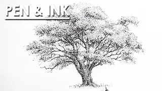 Pen and Ink Drawing : How to Draw Tree | shading techniques to follow