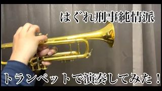 はぐれ刑事純情派【トランペットで演奏してみた！】