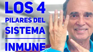 Los 4 Pilares Del Sistema Inmune