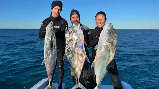 Spearfishing Australia vs England: Great Barrier Reef Day 2