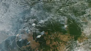 Amazon rainforest fires rise to record number, smoke visible from space | ABC7