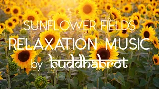 Calming Music for Relaxation and Meditation • Stress Relief, Relaxing Music • Sunflower Fields