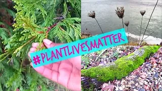 PLANTS FEEL PAIN TOO! #PLANTLIVESMATTER