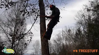 Gaff Climbing with Rene Sauzedde - TreeStuff Community Expert Video