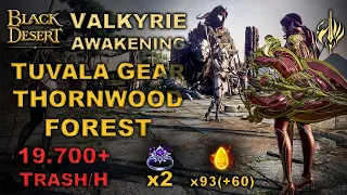 BDO | Most Underrated Spot in Game! - Season | Tuvala Gear - Thornwood Forest | 19.700+ H Lv.2 |