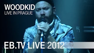 Woodkid live in Prague (2012)