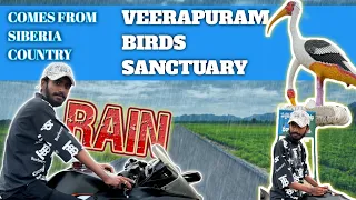 SIBERIAN BIRDS SANCTUARY IN VEERAPURAM🦩 ವೀರಪುರಂನಲ್ಲಿರುವ ಸೈಬೀರಿಯನ್ ಪಕ್ಷಿಧಾಮ full rainy in summer⛈️🥶