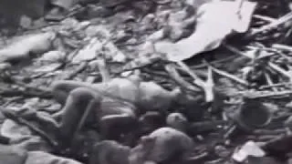 电影 南京大屠杀 中文版 第二部分 Nanjing Massacre Rape of Nanking Part 2