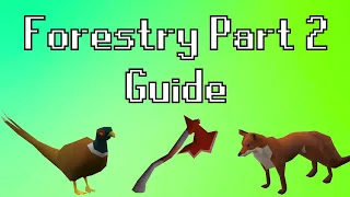 Forestry Part 2 Guide! - OSRS (Runelite Plugins, Methods and Important Info)