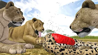 Fomos Traídas Pelos Leões! Irmãs Leoas Exiladas do Reino! (Wild Savannah) Roblox