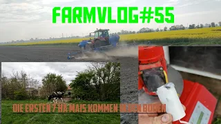 FarmVLOG#55 Der erste Mais kommt in den Boden/die Kühe sind los/ Milchtaxi Reparatur