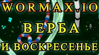 Wormax.io: Вербное воскресенье - что за праздник 9 апреля 2017 года