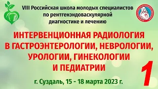 (2023.03.15) 8 Российская школа молодых специалистов по рентгенэндоваскулярной диагностике и лечению