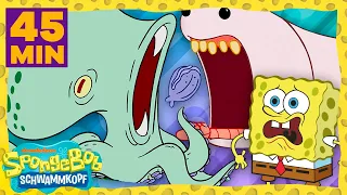 SpongeBob Schwammkopf | Die coolsten Tiere von Bikini Bottom in 45 Minuten | SpongeBob Schwammkopf