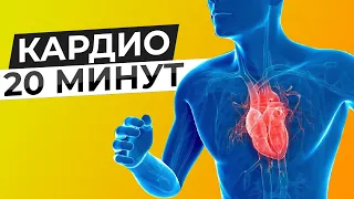 Домашняя КАРДИО тренировка для твоего ЗДОРОВЬЯ | Любой уровень подготовки