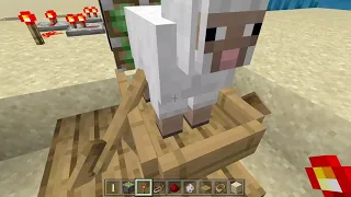 How to make sheep fricker in minecraft
