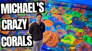 Michael and Jo's Crazy Coral Collection!