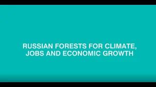 Russian forests for climate, jobs and economic growth